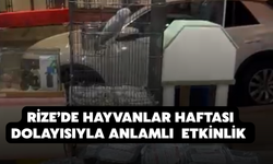 Hayvanlar Haftası’nda 250 Mama Paketi Ücretsiz Dağıtıldı
