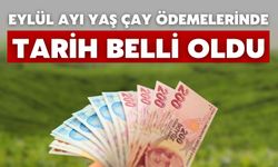 Eylül Ayı Yaş Çay Ödemelerinde Tarih Belli Oldu