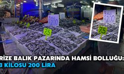 Rize Balık Pazarında Hamsi Bolluğu: 3 Kilosu 200 Lira