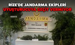 Rize'de Jandarma Ekipleri Uyuşturucuya Geçit Vermiyor