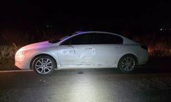 Tekirdağ'da Trafik Kazası: 2 Yaralı