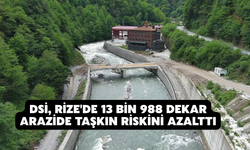 DSİ, Rize'de 13 Bin 988 Dekar Arazide Taşkın Riskini Azalttı