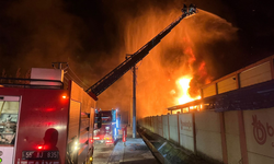 Samsun'da Geri Dönüşüm Fabrikasında Yangın