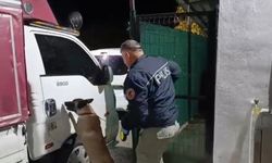 Kamyonete Gizlenmiş Uyuşturucuyu Dedektör Köpeği Buldu: 4 Kilo Uyuşturucu Ve 4 Bin Adet Hap Ele Geçti