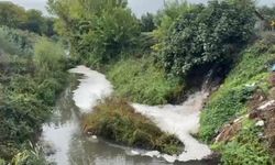 Gemlik Körfezi'nde Kirlilik Endişeye Yolaçıyor