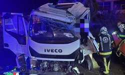 Yağışta Yoldan Çıkan Kamyonet Sürücüsü Yaralandı