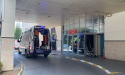 Bolu'da Bir Hastada 'Deli Dana' Hastalığı Tespit Edildi