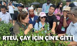 RTEÜ Heyeti Çin'deki Çay Zirvesine Katıldı