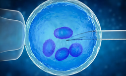 Yumurta Dondurmada Yaş Engeli Ve Mevzuat Sınırı