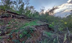 Araziler Parçalandı, Evler Yamuldu: Taş Ocağı Mahalleyi Yok Etmeye Başladı