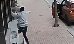 Balkona Tırmanıp Cins Kediyi Çaldı