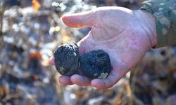 Bayburt ‘Kara Elmas’ İle Tanışacak