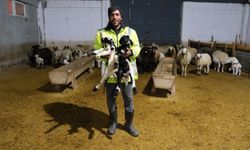 Erzincanlı Üretici Yüzde 50 Hibe Desteğiyle 8 Milyon Tl’lik Çiftlik Kurdu