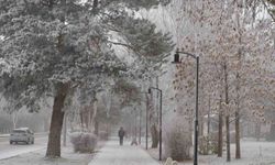 Erzurum Güne Sis Ve Kırağı