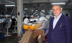 Fındık Fiyatları, İhracat, Döviz Kuru Ve Hava Şartlarına Bağlı