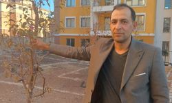 Geçen Yıl Kuruyan Ağaçlar Kasım Ayında Çiçek Açtı