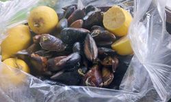 Gıda Hattı’na Gelen İhbar Ekipleri Harekete Geçirdi