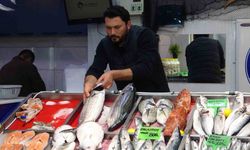 Hamsi Denizlerde Yüzünü Gösterdi Tezgahlarda Fiyatını Korudu