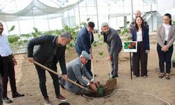 Kahve Sadece Adıyla Değil Üretimiyle De Türk Olacak