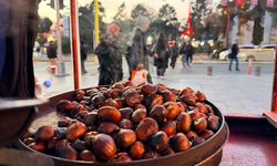 Kışın Şifa Kaynağı Kestane Tezgâhlarda Yerini Aldı