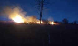 Ordu’da Fındık Bahçesinde Yangın