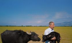 Tokatlı Fırın Ustasının Paris’teki Ödül Sevinci Vize Engeline Takıldı