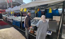 Zonguldak’ta Tezgahtaki Hamsi Yerini Diğer Çeşit Balıklara Bırakıyor