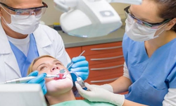 Sağlık-sen: "Diş Hekimleri Kamuya Atanmalı Ve Uzmanlaşmalarının Önü Açılmalı