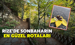 Rize’de Sonbaharın En Güzel Rotaları