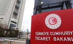 Bakanlık Düğmeye Bastı: Peluş Oyuncağın Satışı Yasaklandı! İşte Sebebi