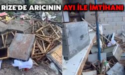 Rize'de Arıcının Ayı İle İmtihanı