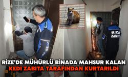 Rize’de Mühürlü Binada Mahsur Kalan Kedi Zabıta Tarafından Kurtarıldı