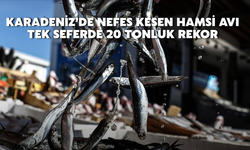 Karadeniz’de Nefes Kesen Hamsi Avı: Tek Seferde 20 Tonluk Rekor
