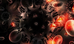 Türkiye Artışın En Fazla Görüldüğü Ülkeler Arasında