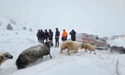 Artvin'de Çığ Altında Kalan 3 Çobandan Birinin Cansız Bedenine Ulaşıldı