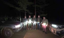 Bolu'da Kaçak Avcılıkla Mücadele Çalışmaları Sürüyor