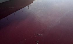 Esenyurt’ta Derenin Rengi Kırmızıya Döndü