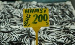 Hamside Bolluk Azaldı, Fiyatı 200 Tl’ye Çıktı