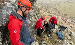 Kayalıklarda Mahsur Kalan Keçiler JAK Timi Tarafından Kurtarıldı