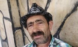 Komşusuna Ağaç Kesiminde Yardım Ederken Hayatını Kaybetti