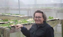 Trabzon’dan Dünyaya ’Googlis