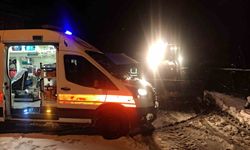 Zonguldak'ta Kar Nedeniyle 81 Köy Yolu Ulaşıma Kapandı