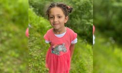 Kaldırımda Yürürken Dehşeti Yaşamışlardı; Minik Elif Yaşam Mücadelesini Kaybetti