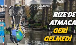 Rize'de Atmaca Geri Gelmedi