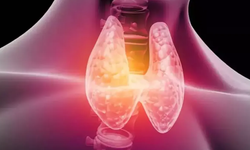 Uzmanından Uyarı: "Tiroit Bozuklukları Enerji Dengesini Olumsuz Etkiliyor