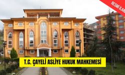 T.C. ÇAYELİ ASLİYE HUKUK MAHKEMESİ