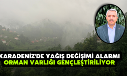 Karadeniz'de Yağış Değişimi Alarmı; Orman Varlığı Gençleştiriliyor