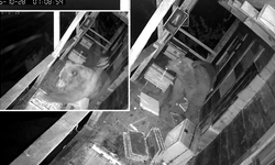 Tırmandığı Balkonda Kovanlardaki Balı Yiyen Ayı Kameralara Yakalandı