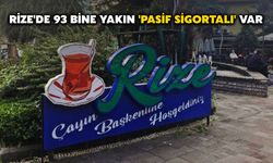 Rize'de 93 Bine Yakın 'Pasif Sigortalı' Var