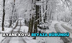 Ayane Köyü Beyaza Büründü